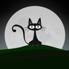 My Profile Photo